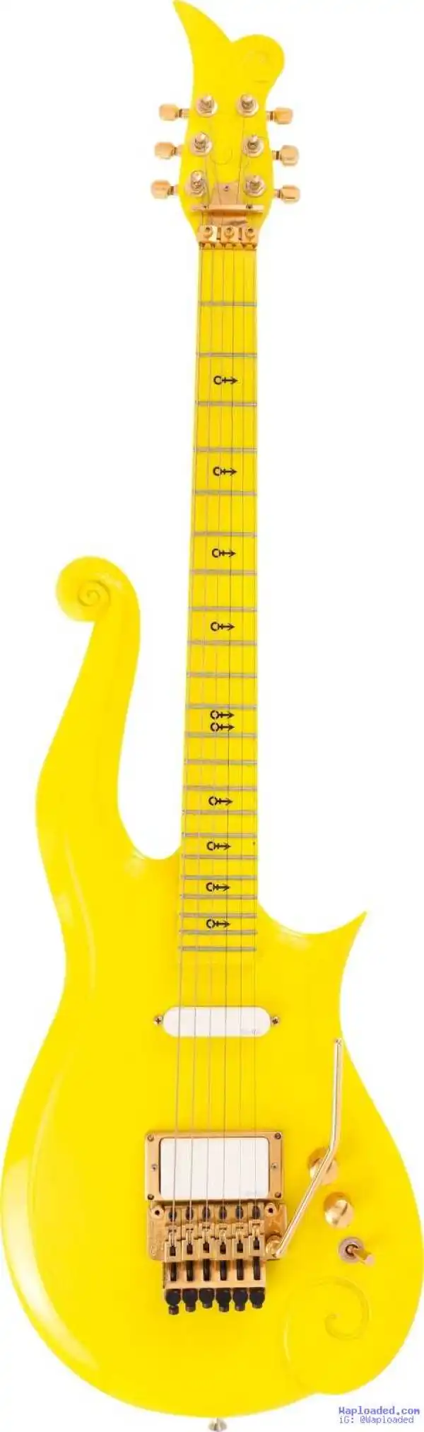 Photo: Music legend, Prince